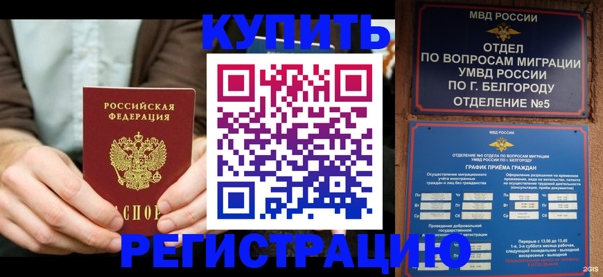 прописка 2025 в Коле