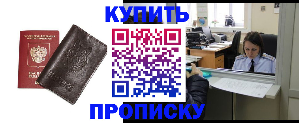 прописка штамп в Коле